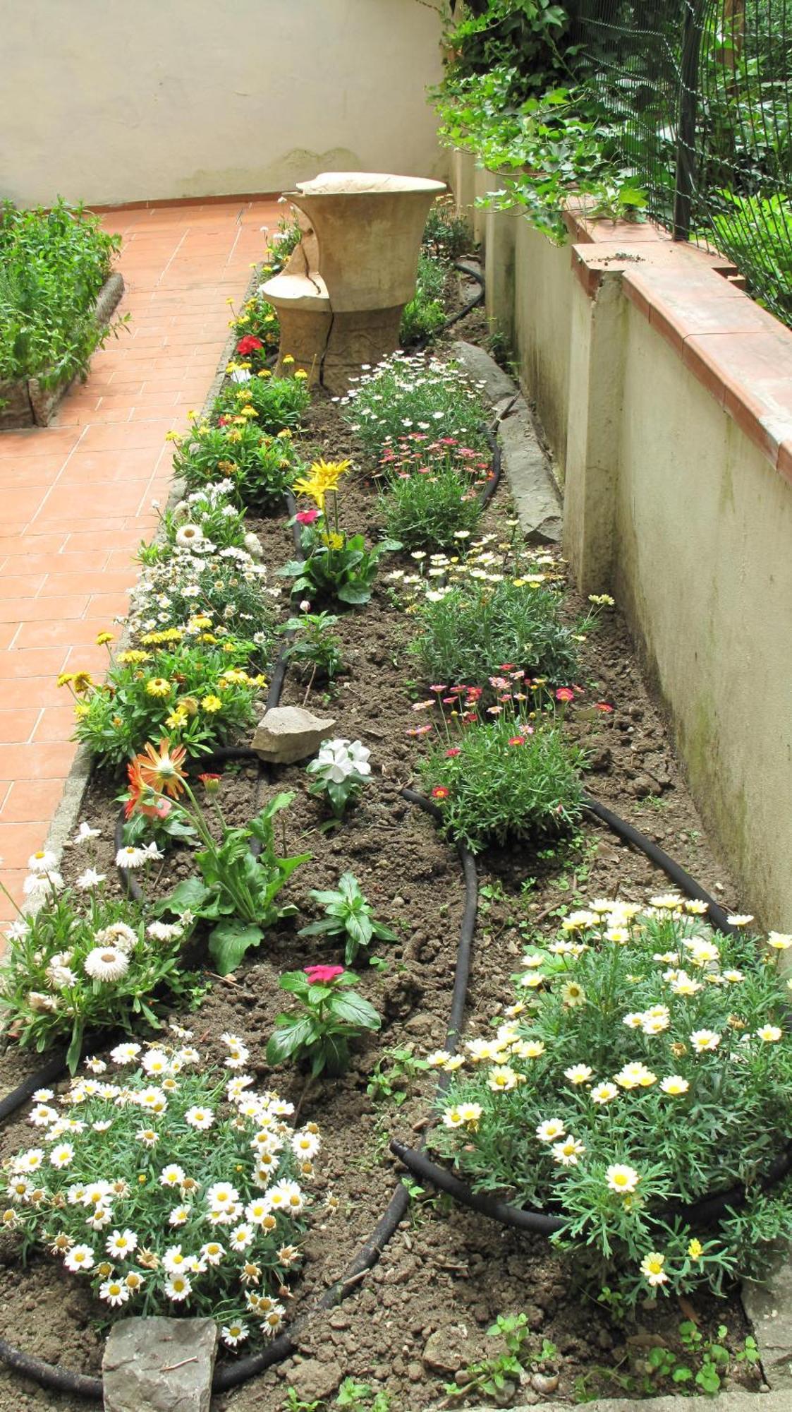Apartamento Le Petit Jardin Center